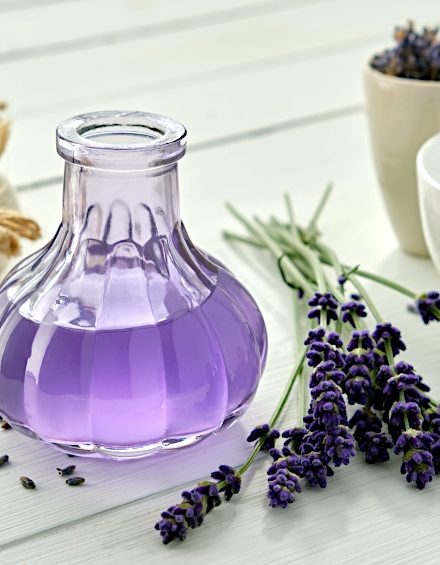 Lavender Tea Benefits – More Than Just a Pretty Flower