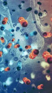 A connection between ancestry and the molecular makeup of cancer