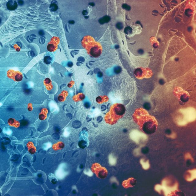 A connection between ancestry and the molecular makeup of cancer